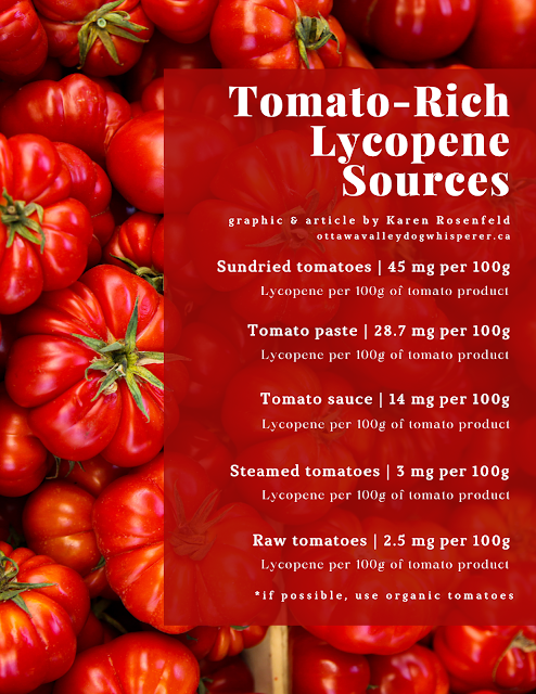 Tomato-rich lycopene sources for dogs and cats