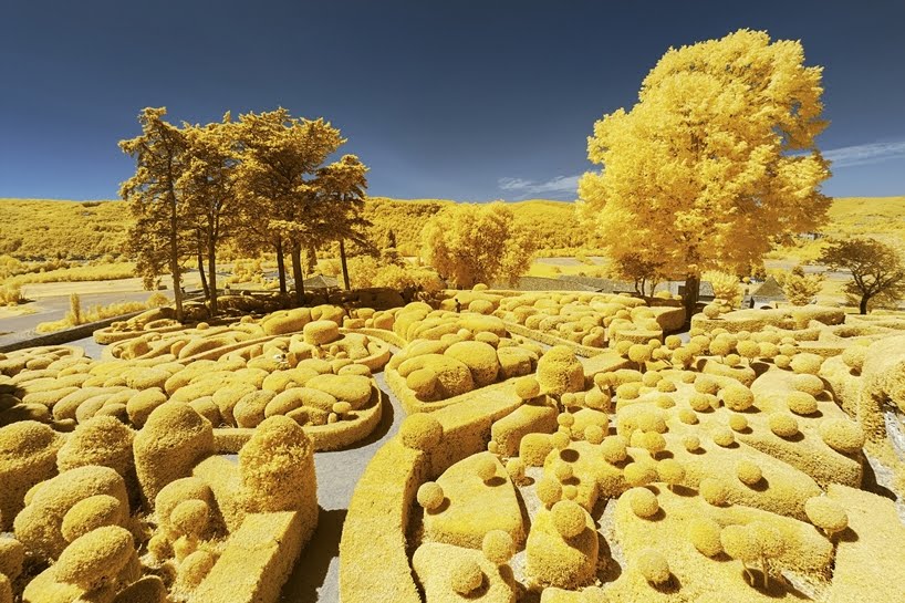 Paisajes franceses de color amarillo infrarrojo