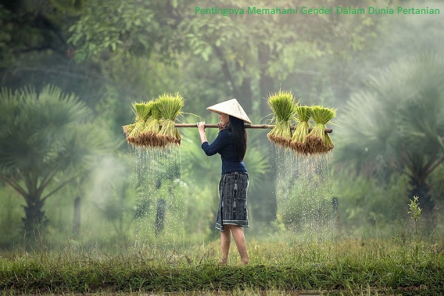 Pentingnya gender dalam pertanian