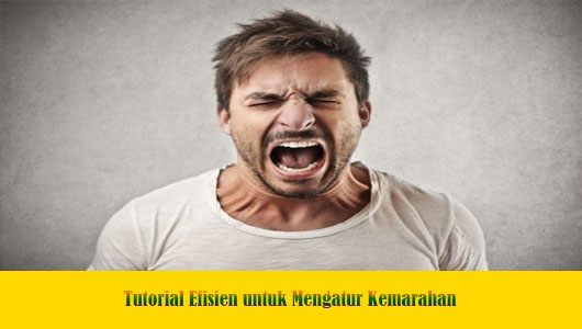 Tutorial Efisien untuk Mengatur Kemarahan