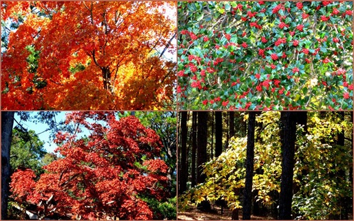 2011-11-06 (Large)