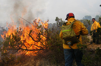 Abril y mayo críticos en materia de incendios forestales para Quintana Roo, advierte CONAFOR