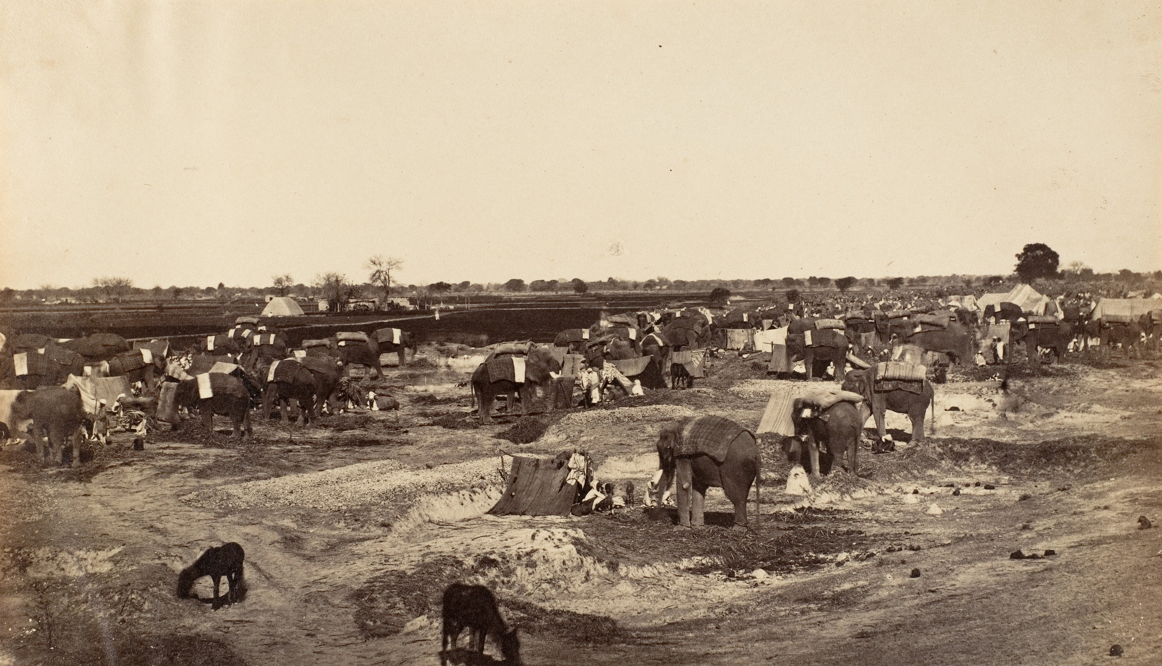 Hathi Khana (The Elephant Camp), India | Rare & Old Vintage Photos (1858)