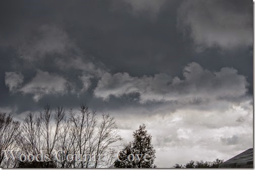 APRIL 2015 (22 of 28)
