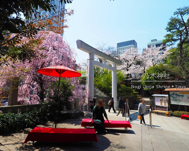 乃木神社＆乃木公園の桜