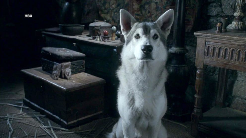 How To Find Your Own Direwolf P S Where Is Ghost