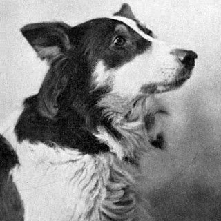 Jean the Vitagraph Dog - Star of Jean and the Calico Doll (1910)