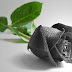Hoa hồng đen vua của các loài hoa