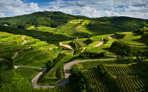 Laberintos de campos verdes - Green fields labyrinth - Vert labyrinthe des champs