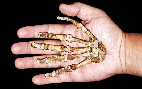 2011-September-discovery-ancient-human-fossils