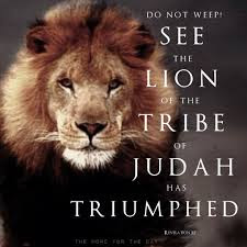 Lion of the tribe of Judah