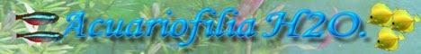 FORO ACUARIOFILIA H2O