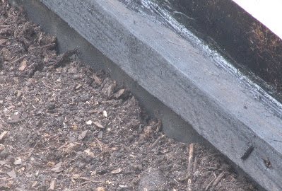 Ruscombe Green: Making a Green Roof on my shed