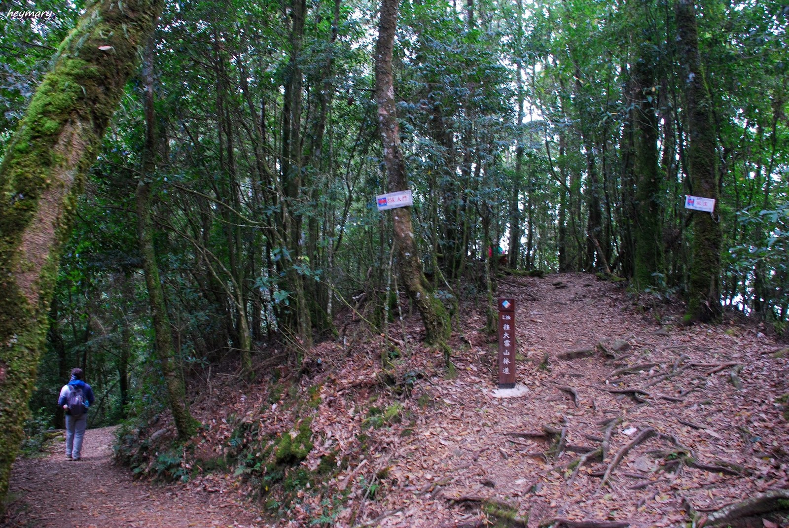 雪山群峰小百岳~稍來山