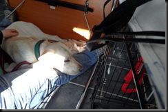 SAM_0181