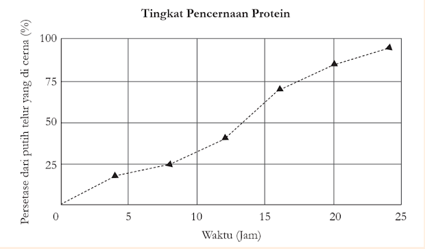 Tingkat Pencernaan Protein