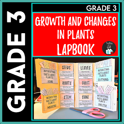 Photo of Grade 3 Growth and Changes in Plants Interactive Lapbook