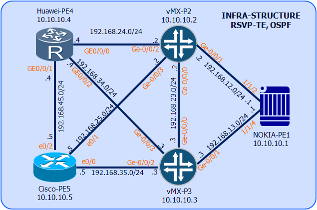 INFRA-STRUCTURE OSPF RSVP-TE