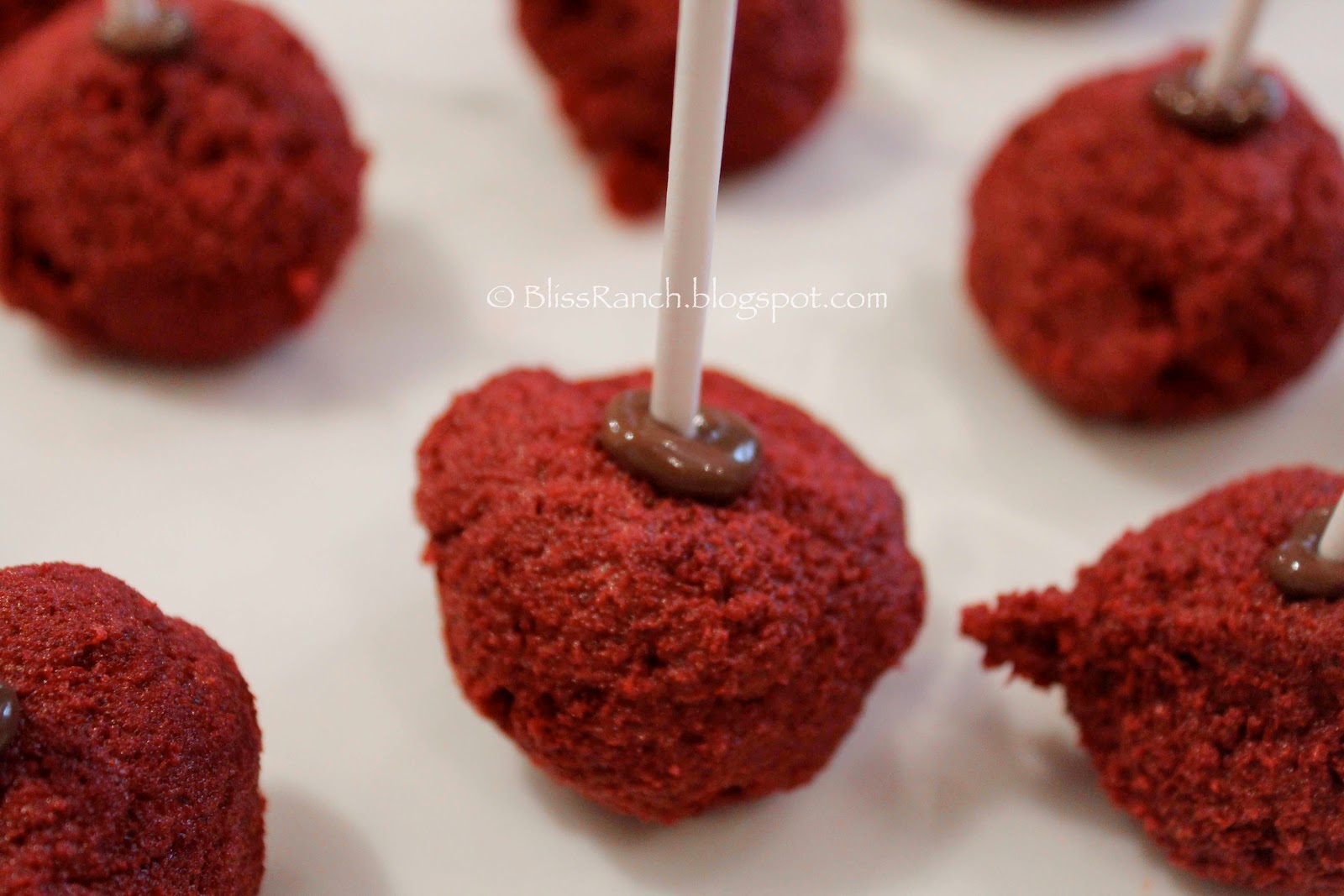 cake pops recipe red velvet Melt just a bit of the chocolate wafers and stick your sticks in. This 