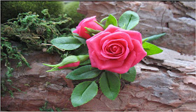 lovely-dark-pink-real-rose-walls-images