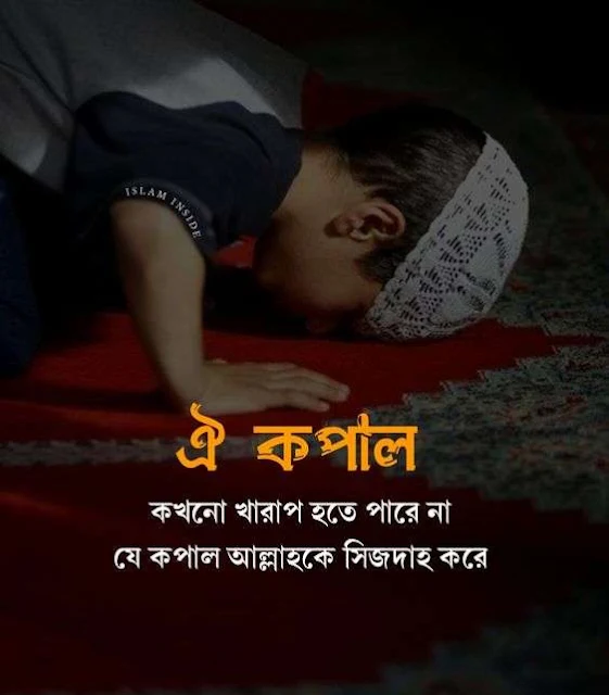 ইসলামিক পিকচার ভিডিও, ইসলামিক ছন্দ পিক, islamic picture hd, islamic sondo pic, ইসলামিক ফটো গ্যালারি, ইসলামিক photo, ইসলামিক ছন্দ পিকচার, islamic profile pictures download , islamic profile picture hd, ইসলামিক উপদেশ, profile picture islamic, ইসলামিক ছবি বাংলা, ইসলামিক স্ট্যাটাস পিকচার ডাউনলোড, ইসলামিক ফটো ডাউনলোড , ইসলামিক ফটো, ইসলামিক ফটো পিকচার, ইসলামিক উপদেশ পিকচার | ইসলামিক পিকচার নতুন, ইসলামিক ছবি, ইসলামিক আরবি পিকচার, ইসলামিক ছবি hd, ইসলামিক ছবি ডাউনলোড, ইসলামিক সুন্দর ছবি, ইসলামিক পিকচার download, ইসলামিক পিকচার ছবি, ইসলামিক পিকচার ডাউনলোড, নতুন ইসলামিক পিকচার, ইসলামিক মানুষের ছবি, ইসলামিক প্রোফাইল পিকচার hd, ইসলামিক সুন্দর পিকচার, পিকচার ইসলামিক ছবি, ইসলামিক পিকচার, ইসলামিক পিকচার ২০২৪, ইসলামিক প্রোফাইল পিকচার