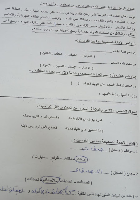 امتحانات فعلية لغة عربية للصف الخامس الإبتدائي أخر العام 2023 للتدريب 344868225_1186145172096561_4613833014519567034_n