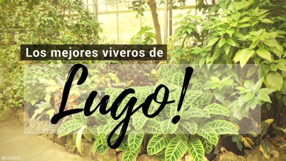 comprar plantas online Lugo