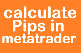 how to calculate pips in metatrader