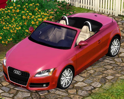 Audi Tt 2009 Roadster.