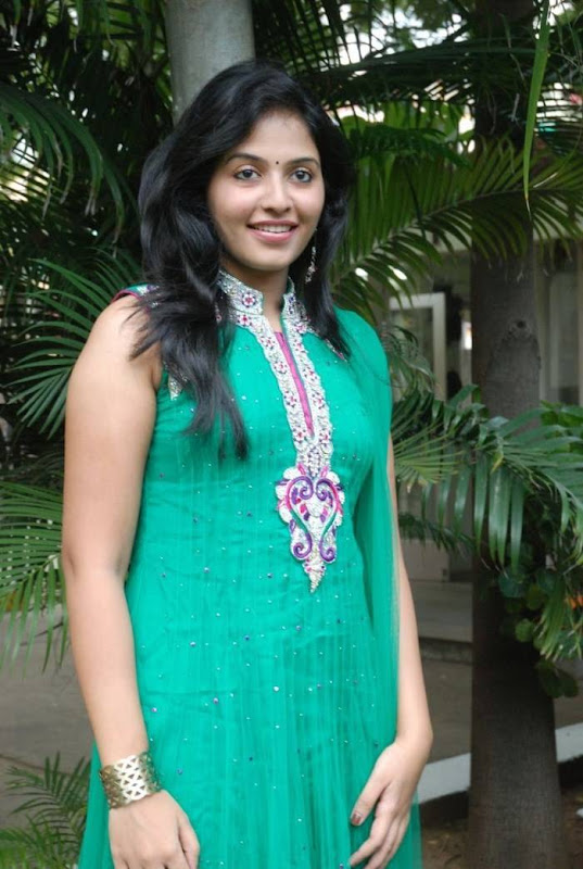 Abctress Anjali Latest Photos hot images