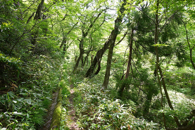 鳥取県西伯郡大山町大山　排水路の風景