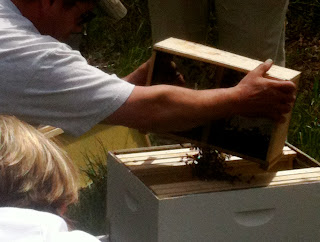 installing the bee package