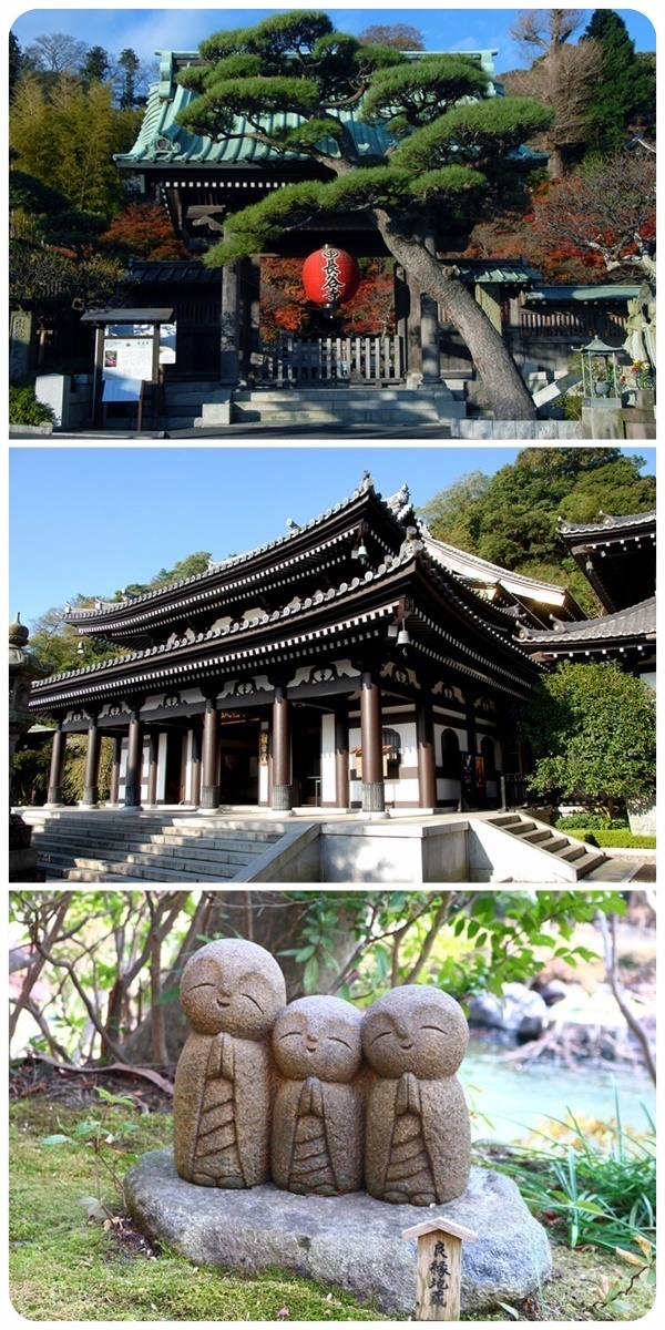 วัดฮาเสะเดระ (Hasedera Temple: 長谷寺)