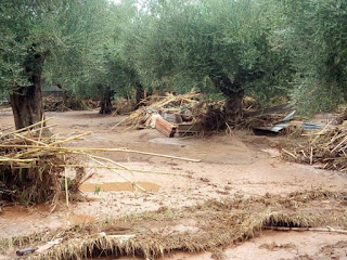 ΣΤΑ ΚΑΓΚΕΛΑ ΟΙ ΑΓΡΟΤΕΣ ΤΗΣ ΜΕΣΣΗΝΗΣ ΧΩΡΙΣ ΑΠΟΖΗΜΙΩΣΕΙΣ