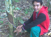  Webdesigner Programes Youtubers Indonesia 