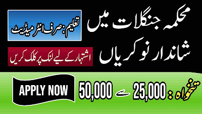Forest Department Jobs 2023 Online Apply | Today Jobs | Find Jobs 4 Me