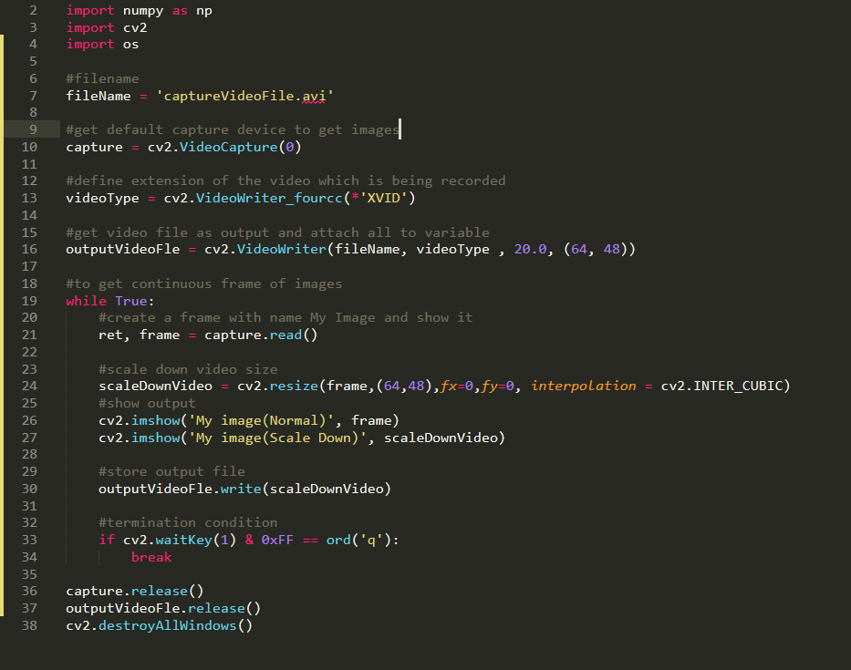 Downscaled video recording using OpenCV code