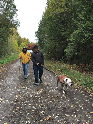 Walking the dog and catching up