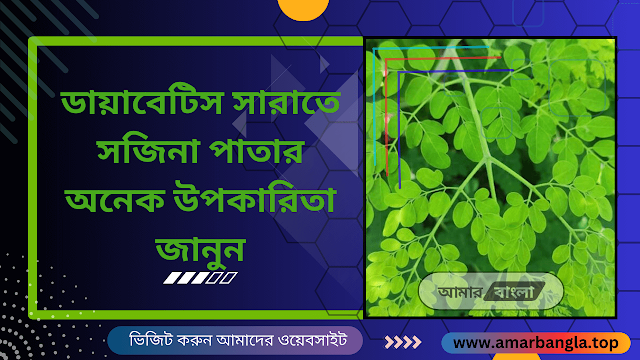 ডায়াবেটিস সারাতে সজিনা পাতার অনেক উপকারিতা জানুন