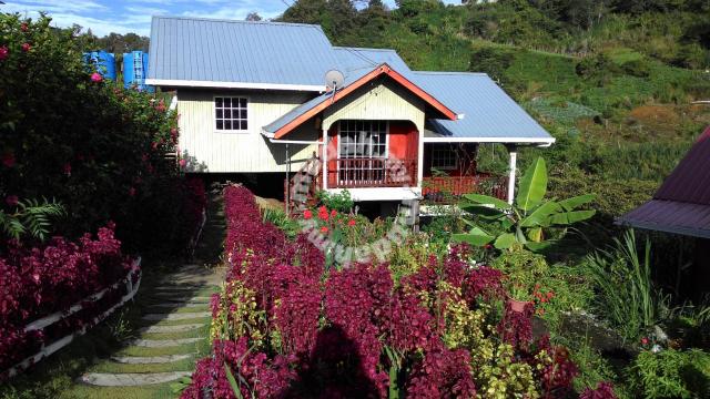 Homestay Di Sabah (Kota Kinabalu - Kundasang - Seluruh 