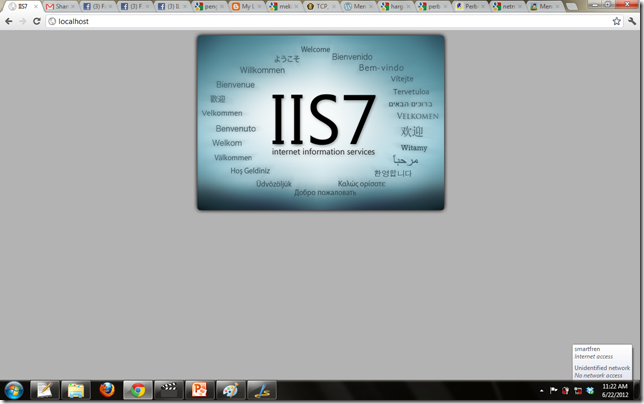 iis3