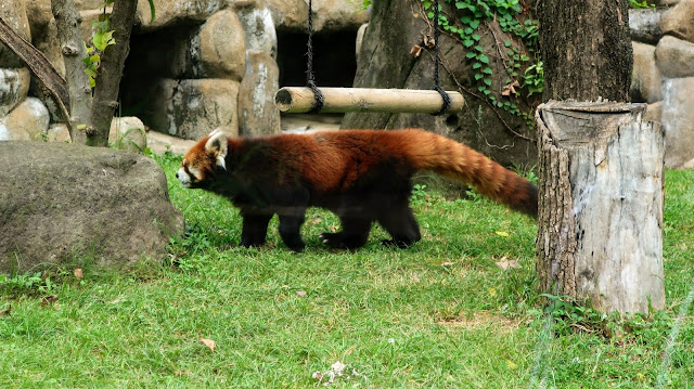 天王寺動物園 大阪