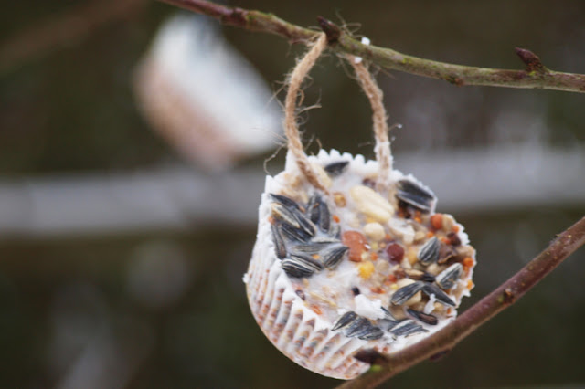 Fuglemad i muffinforme