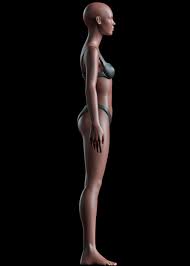 Female Body model 3D | Full Body Female 3D model free | Female body model 3d free download