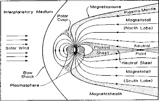 earth's magnetic fields cause of bird and fish die off