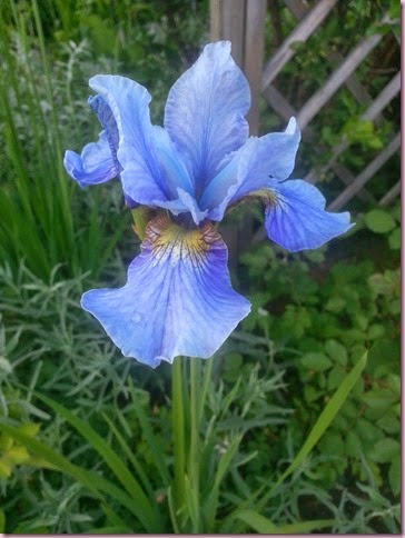 033
