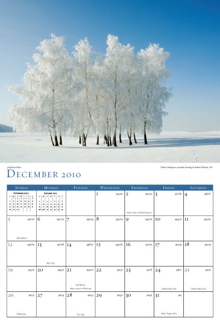 calendar 2010 december. 2010 december calendar. blank