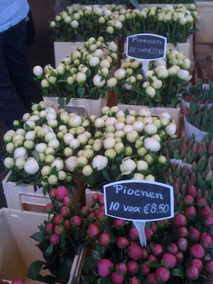 Amsterdam Flower Market, flowers, plants, flower market, tulips