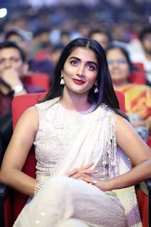 Actress Pooja Hegde Stills At Valmiki Movie Pre Release Event 