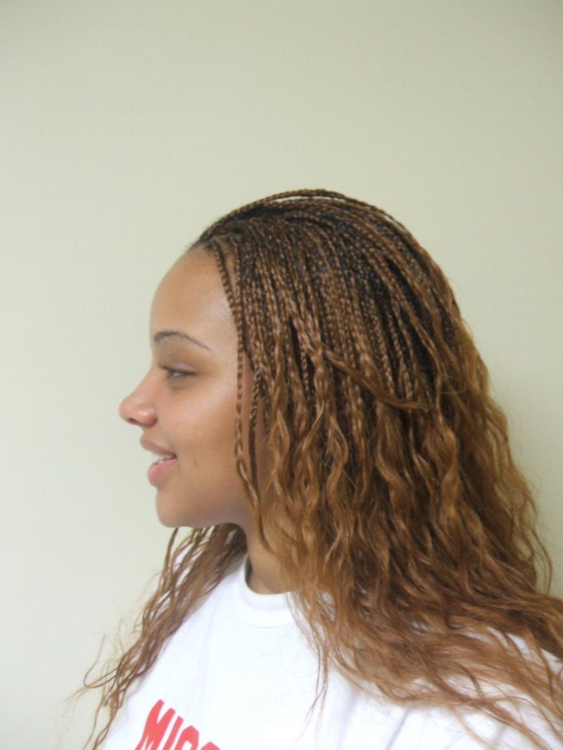 Hairstyles popular 2012: Micro Braids Hairstyle Wallpaper